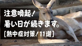 注意喚起！ 暑い日が続きます。 [熱中症対策！11選]