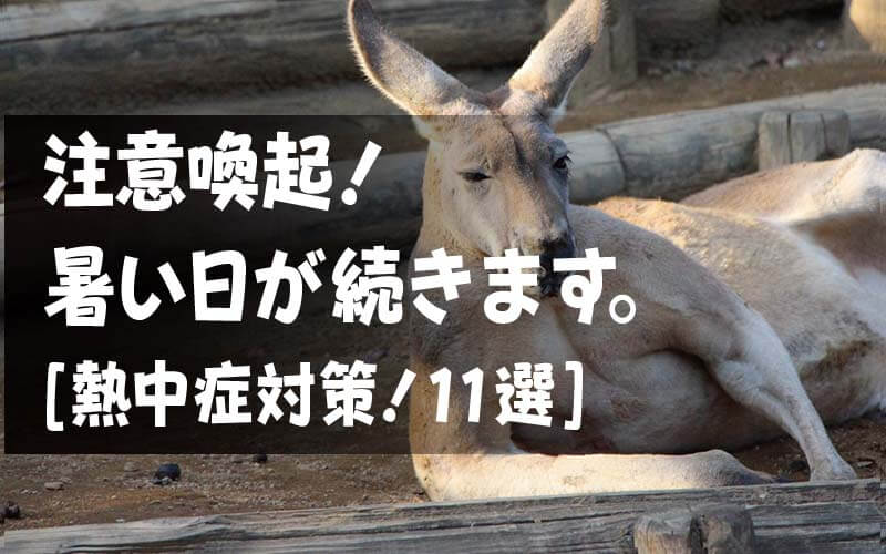 注意喚起！ 暑い日が続きます。 [熱中症対策！11選]