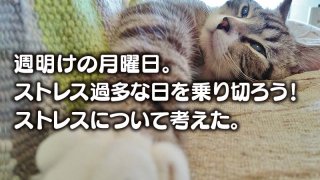 週明けの月曜日。ストレス過多な日を乗り切ろう!ストレスについて考えた。