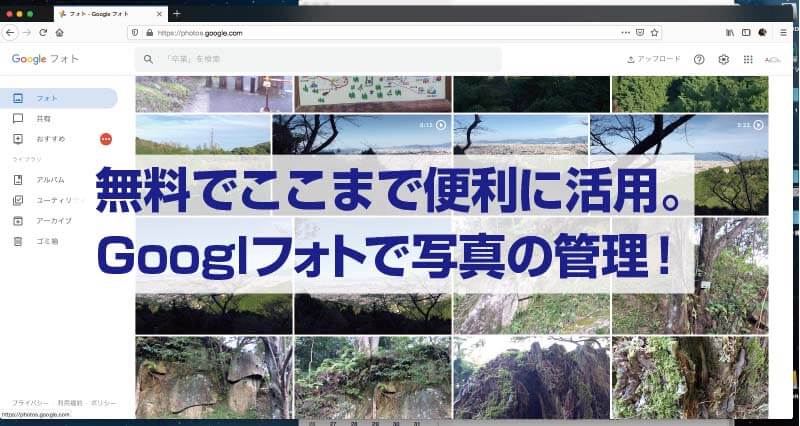 無料でここまで便利に活用。 Googlフォトで写真の管理！