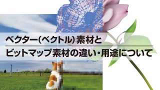 ベクター（ベクトル）素材とビットマップ素材の違い・用途について