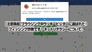 【注意喚起】ブラウジング中ラッキービジターに選ばれた!←フィッシング詐欺です! ネットリテラシーについて。