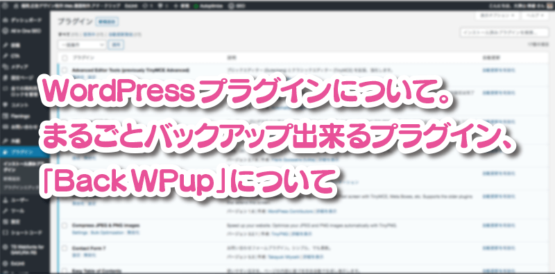 WordPress プラグインについて。 まるごとバックアップ出来るプラグイン、 「BackWPup」について